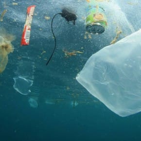 369a2-beneficios-de-prohibir-las-bolsas-de-plastico