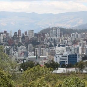 Arbolado urbano Quito