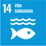 ODS 14 Vida submarina