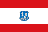 Bandera de Asunción
